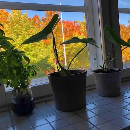 Toukola 60 M2 Apartment. Mi Casa Tu Casa Appartement